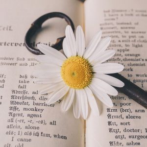 key, old, flower-5105878.jpg